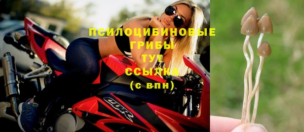 мескалин Балахна