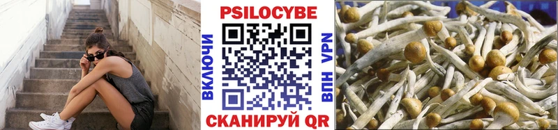 Галлюциногенные грибы Magic Shrooms  Купить где  Бокситогорск 